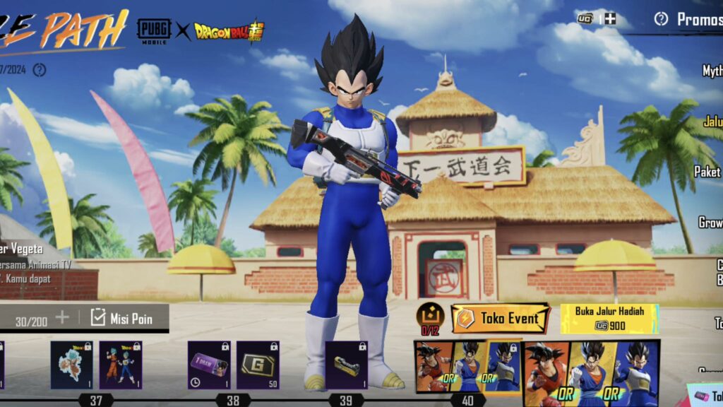 Bundle Vegeta Prince Saiyan